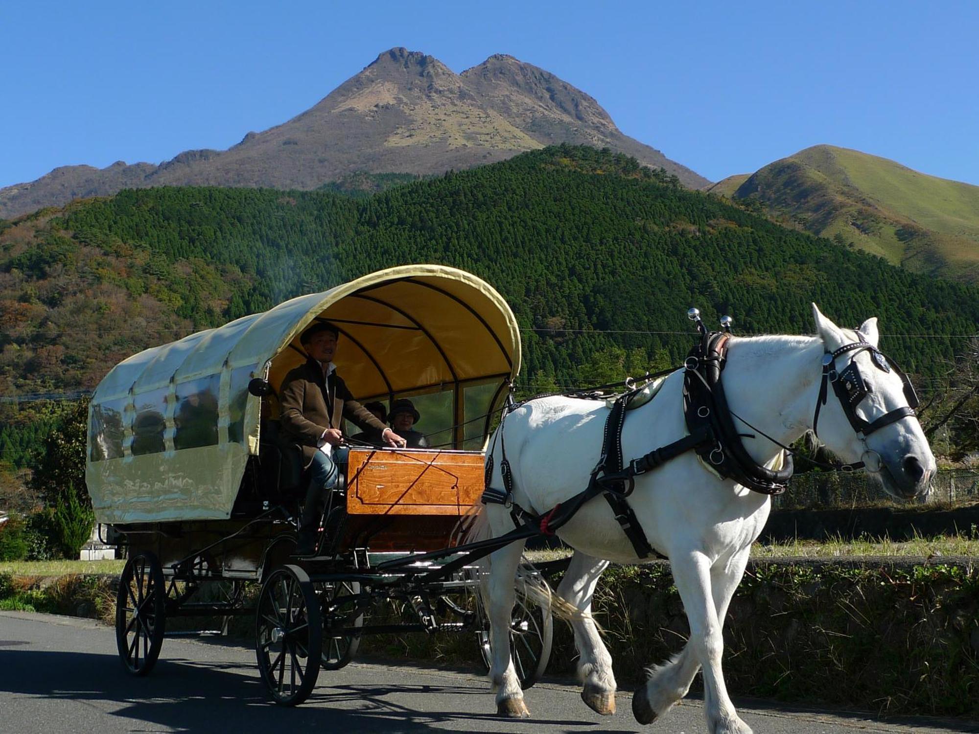 Hotel Housenkaku Бепу Екстериор снимка